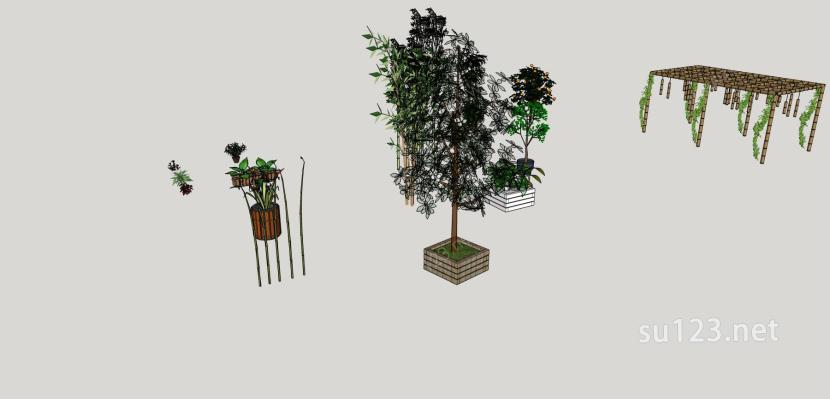 植物  集合SU模型下载草图大师sketchup模型