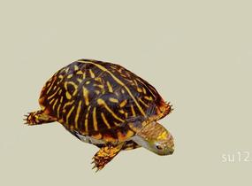海龟雕塑精模SU模型