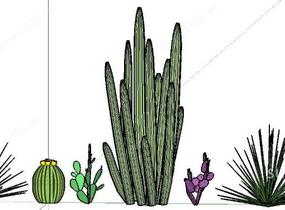 沙漠植物SU模型