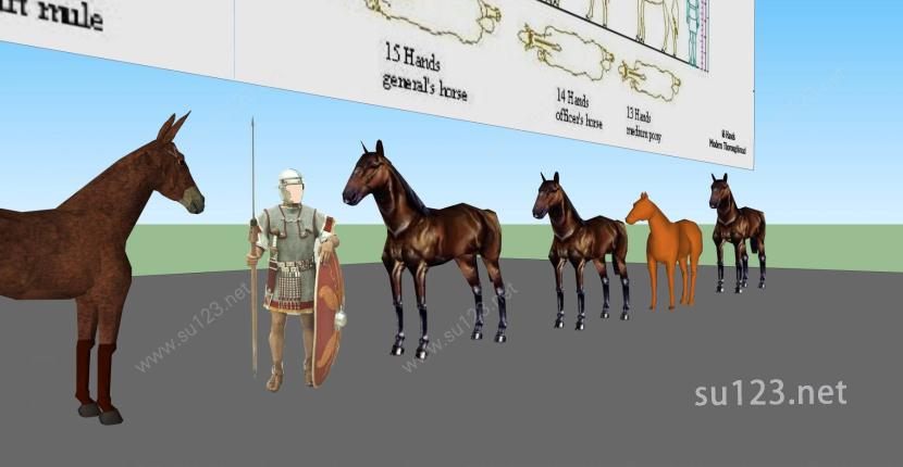 3D动物整合-骏马SU模型下载草图大师sketchup模型
