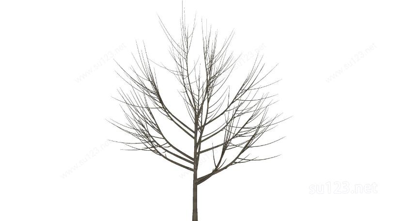 植物素材08SU模型下载草图大师sketchup模型