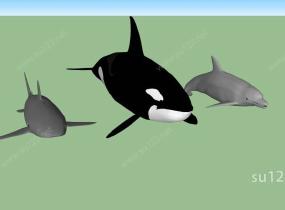 3D动物整合-鳄鱼 鱼 企鹅 类SU模型