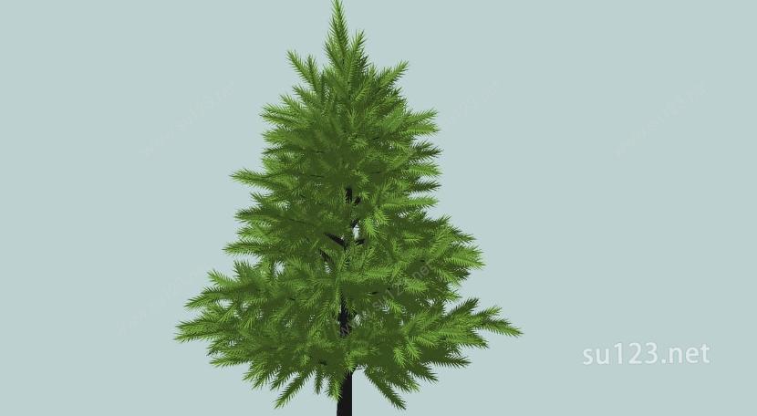 植物素材50SU模型下载草图大师sketchup模型