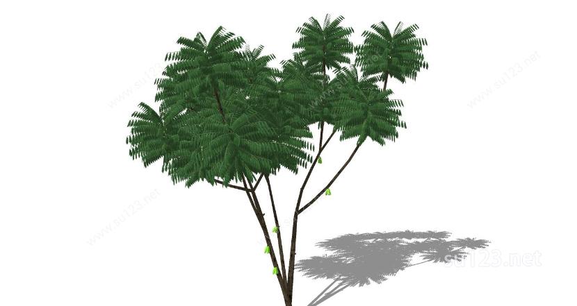 植物素材41SU模型