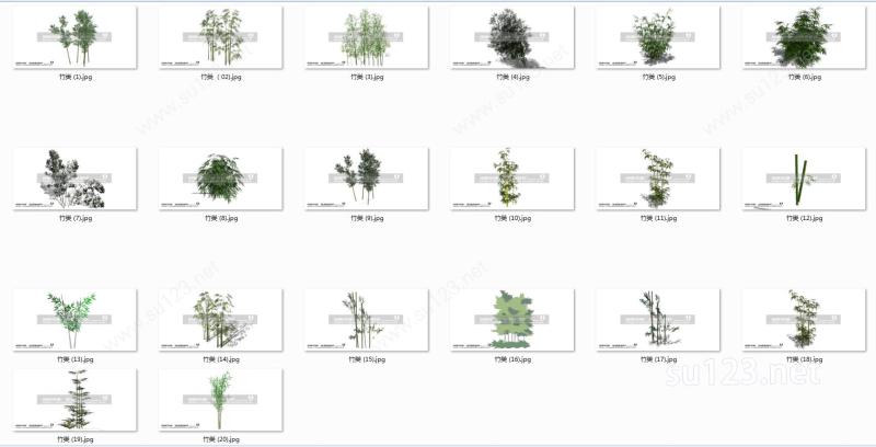 园林植物 竹子（20个）SU模型下载草图大师sketchup模型