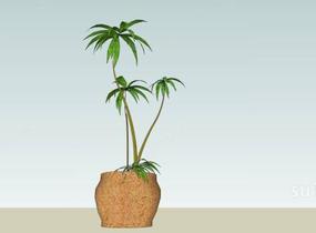 植物模型SU模型