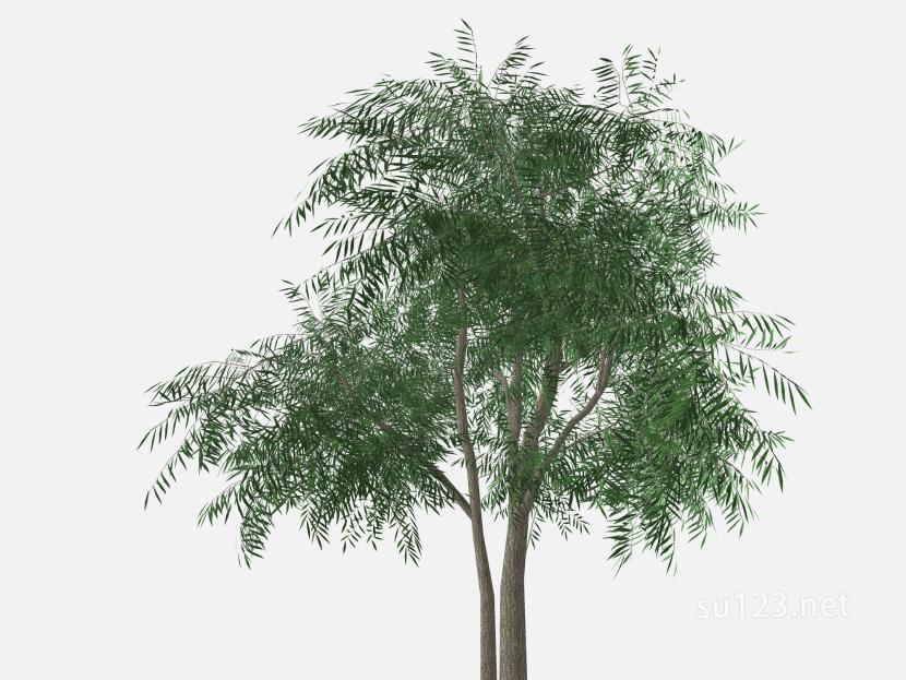 su123_2D树 (13)SU模型
