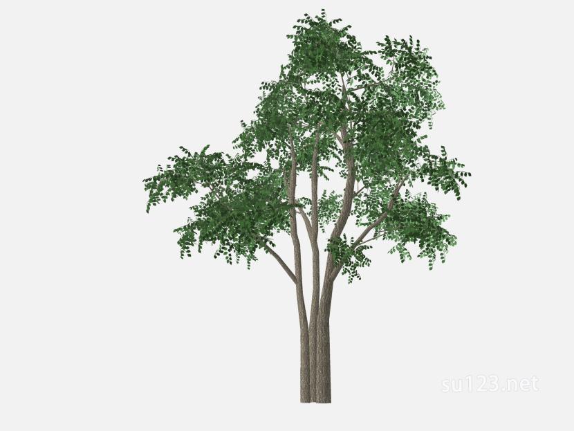 su123_2D树 (28)SU模型草图大师sketchup模型