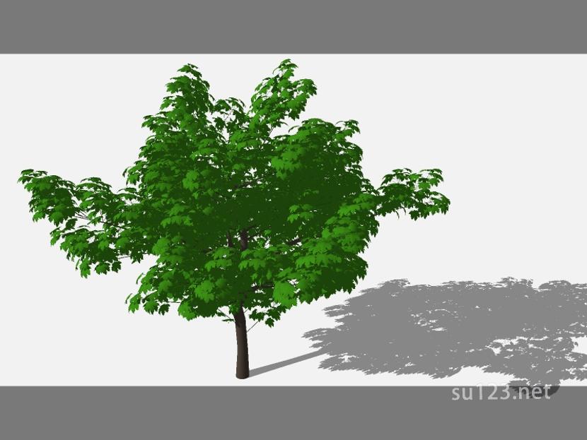 su123_2D乔木树 (84)SU模型
