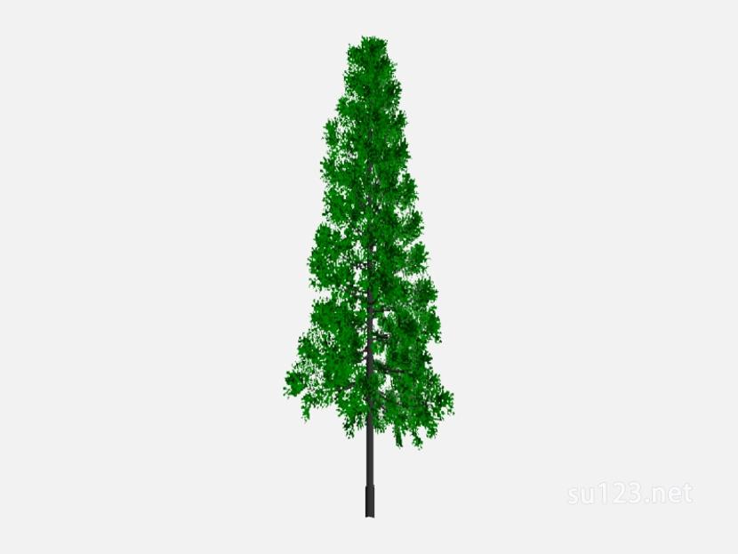su123_2D乔木树 (23)SU模型