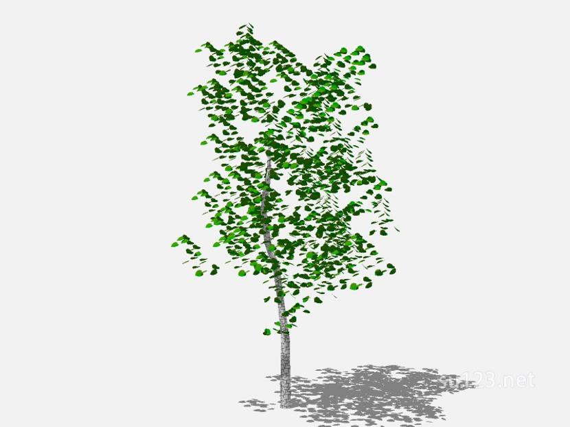 su123_2D乔木树 (92)SU模型草图大师sketchup模型