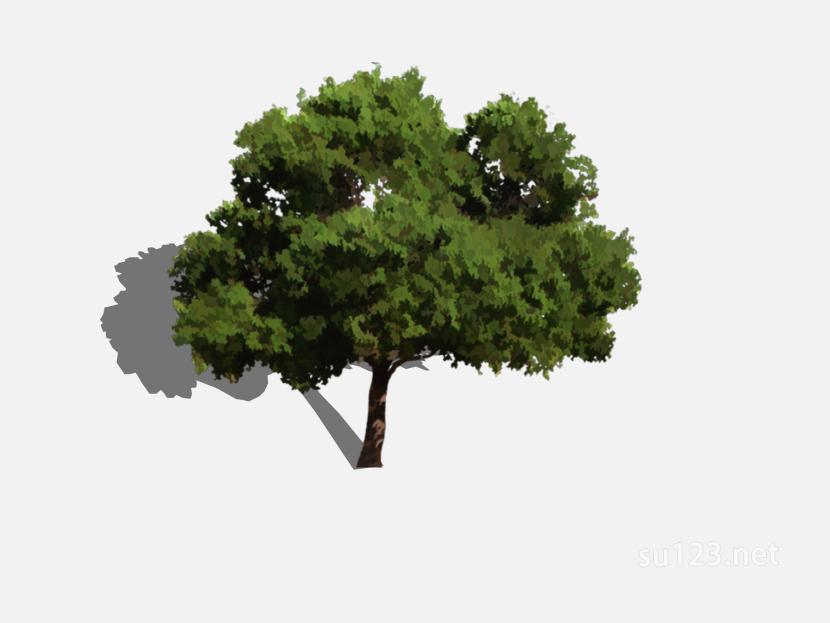 su123_2D树 (43)SU模型
