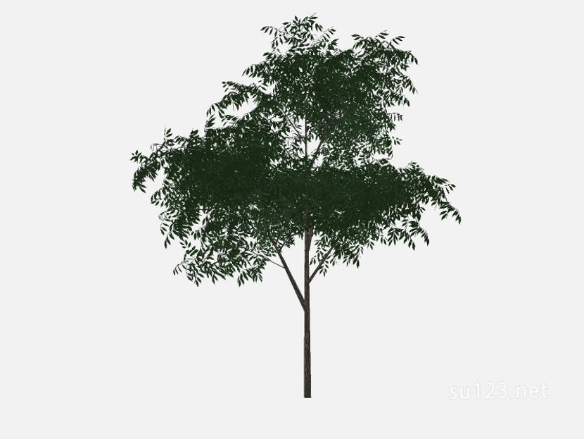 su123_2D乔木树 (34)SU模型