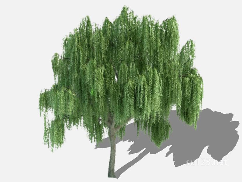 su123_2D乔木树 (50)SU模型