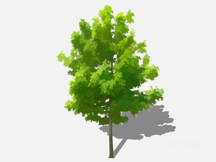 su123_2D乔木树 (28)SU模型