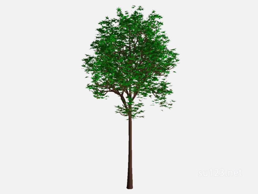 su123_2D树 (39)SU模型