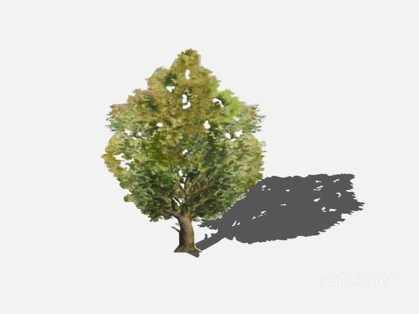 su123_2D树 (56)SU模型