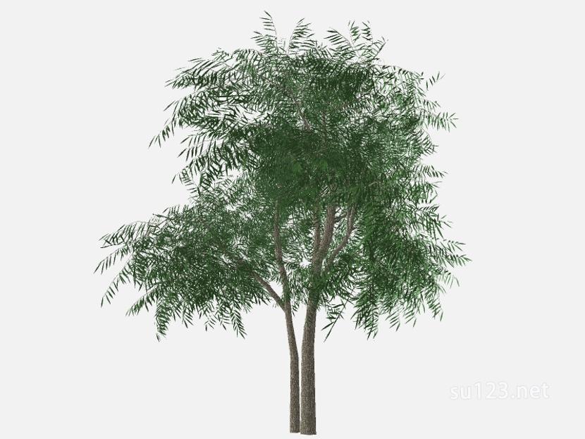su123_2D乔木树 (99)SU模型