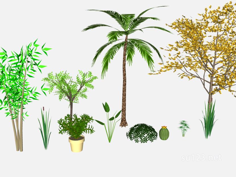 植物群落植物组团 (2)SU模型