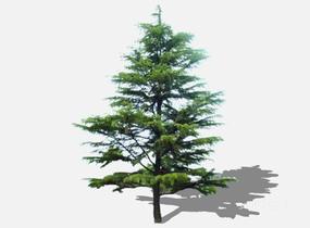 su123_2D乔木树 (11)SU模型