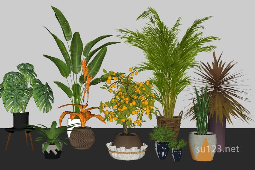 室内盆栽垂直植物SU模型草图大师sketchup模型
