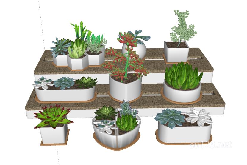 室内小盆栽垂直植物SU模型草图大师sketchup模型