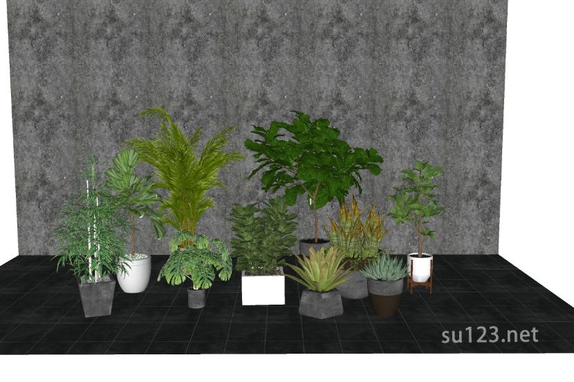 盆栽植物SU模型草图大师sketchup模型