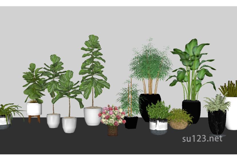 盆栽植物SU模型