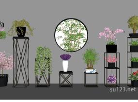室内垂直植物盆栽SU模型