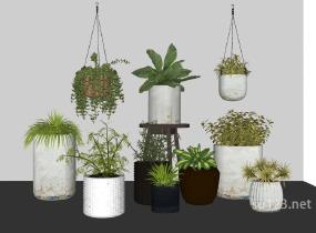 室内盆栽垂直植物SU模型