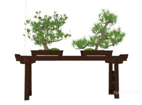 中式盆栽SU模型