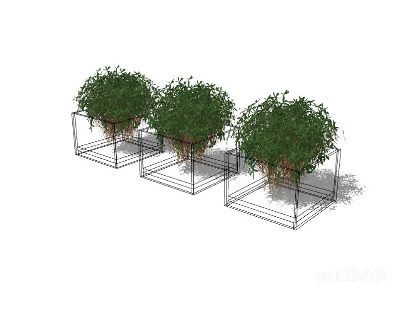 植物盆栽30SU模型