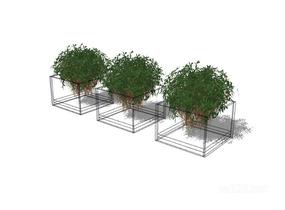 植物盆栽30SU模型
