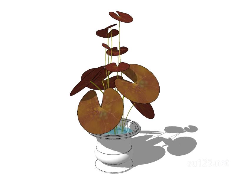 植物盆栽76SU模型草图大师sketchup模型