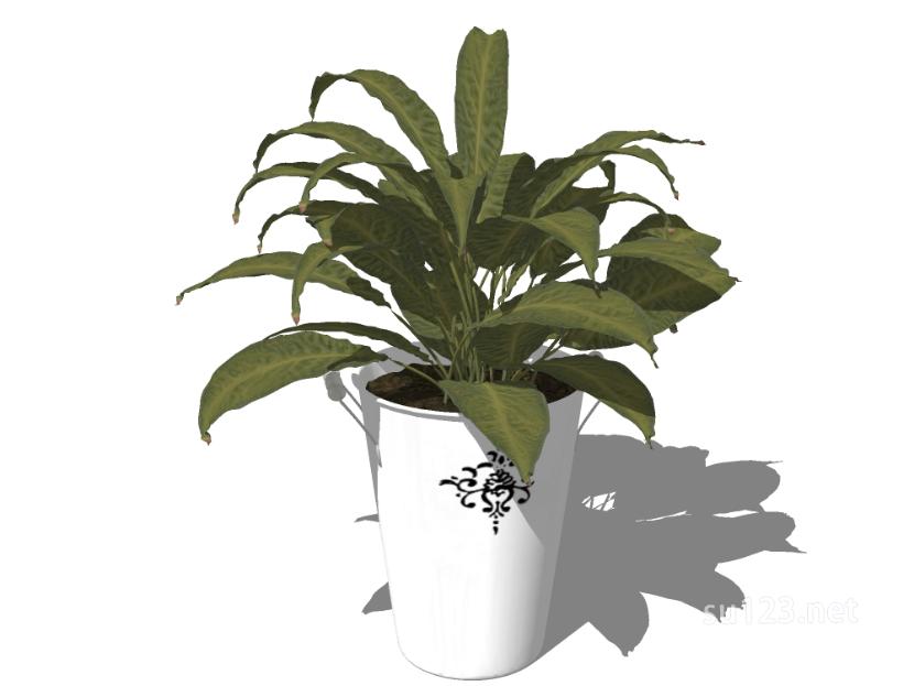 植物盆栽61SU模型