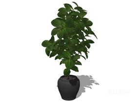 植物盆栽47SU模型