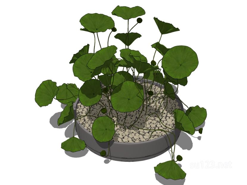 植物盆栽51SU模型
