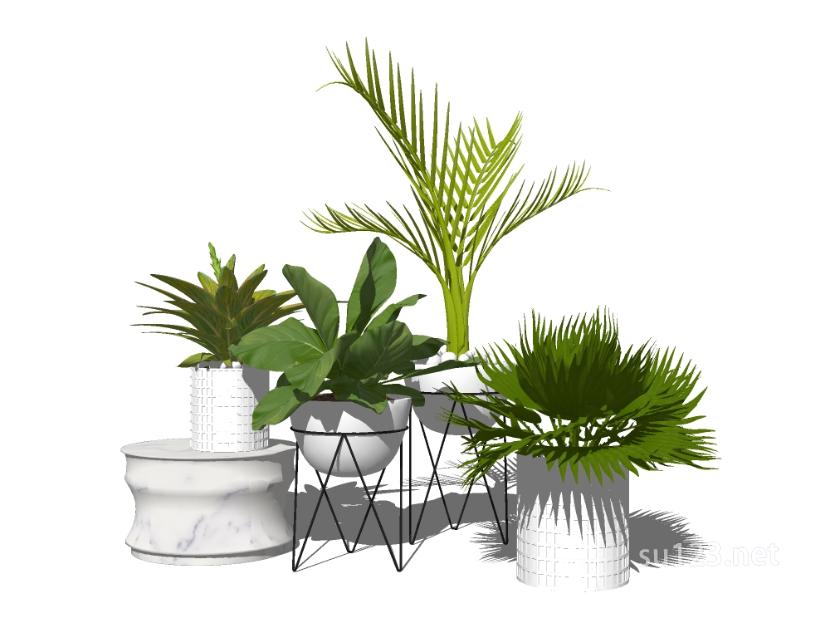 植物盆栽3SU模型