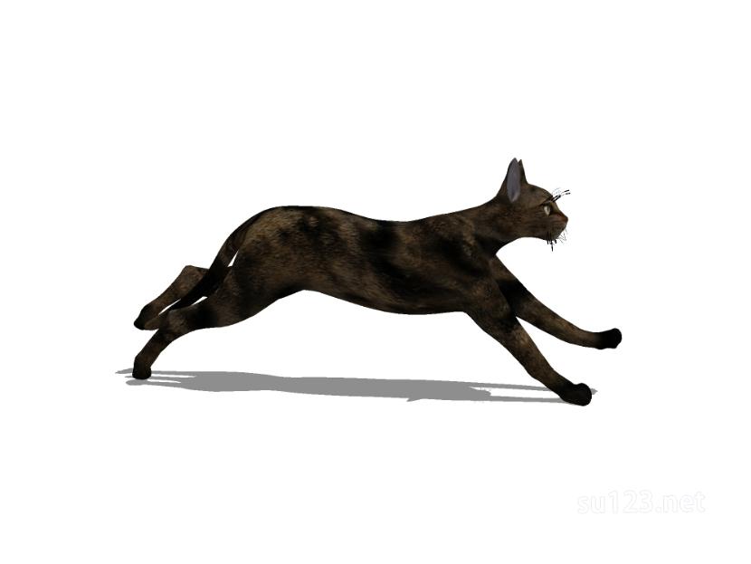 动物_猫 3SU模型
