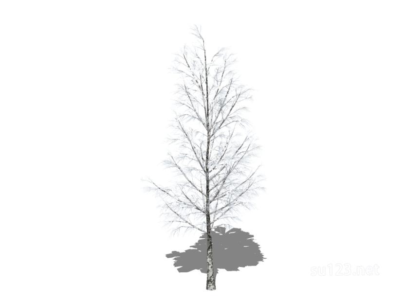 户外植物树42SU模型草图大师sketchup模型