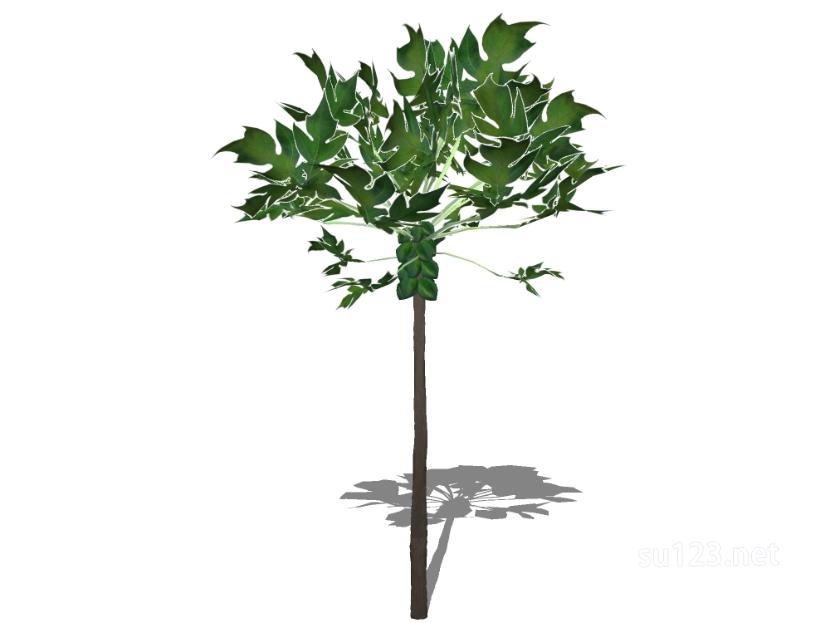 户外植物树70SU模型草图大师sketchup模型