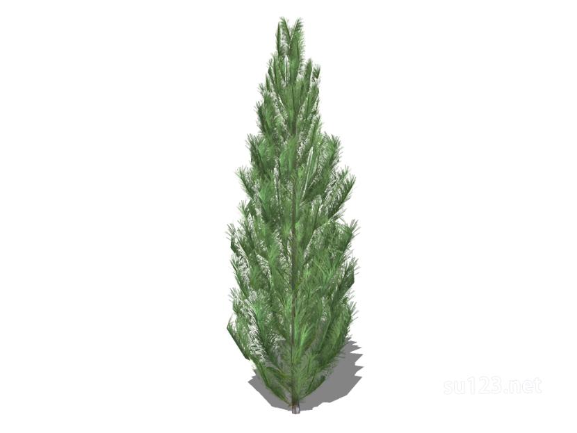 户外植物树35SU模型