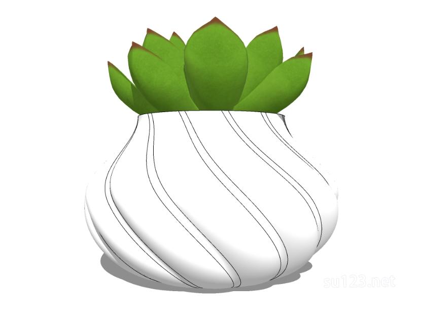 植物盆栽2SU模型