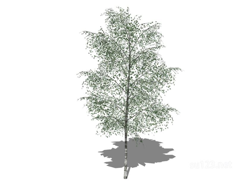 户外植物树25SU模型草图大师sketchup模型