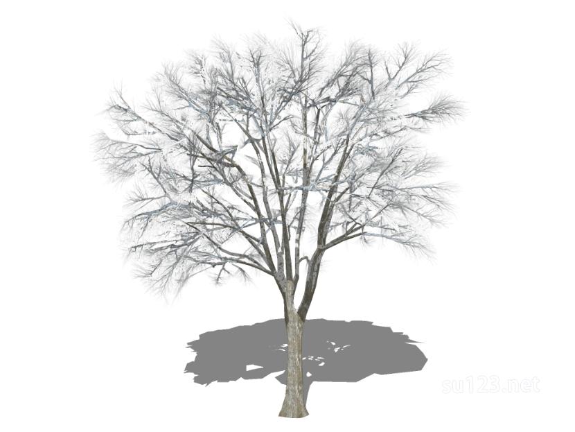 户外植物树32SU模型