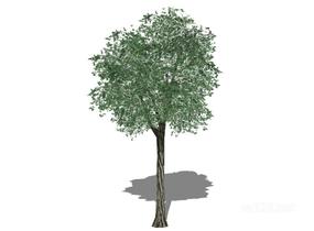 户外植物树64SU模型