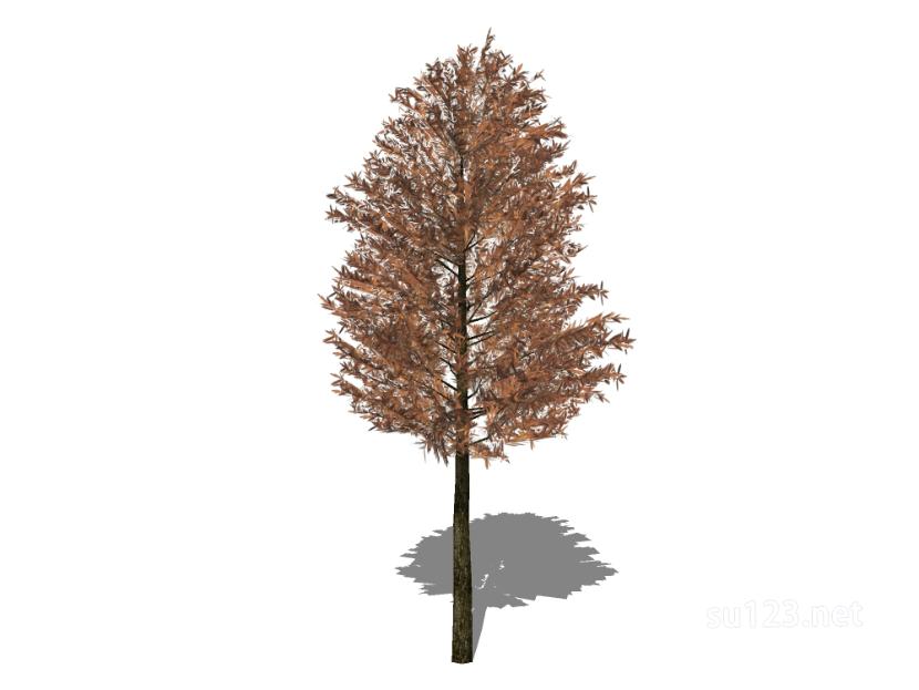 户外植物树59SU模型