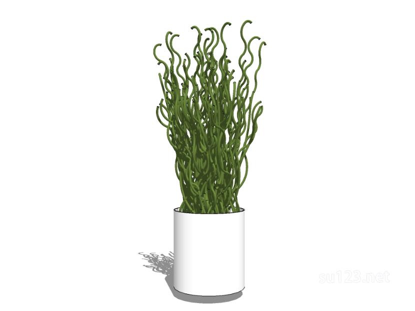 植物盆栽5SU模型