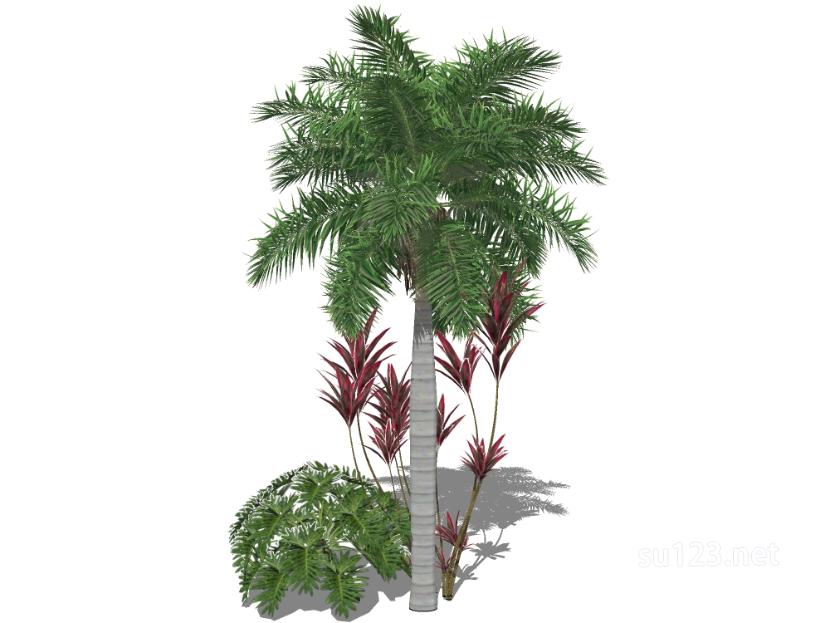 户外植物树2SU模型草图大师sketchup模型