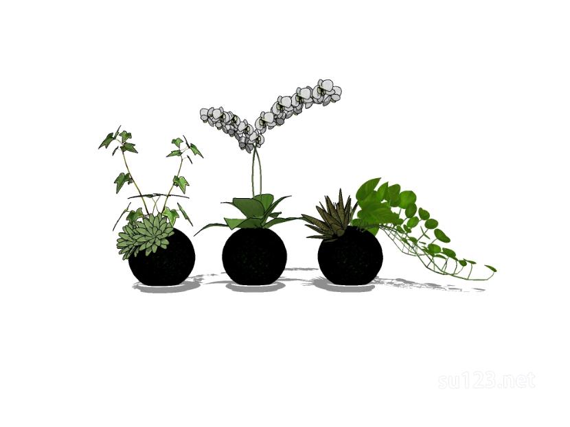 植物盆栽15SU模型